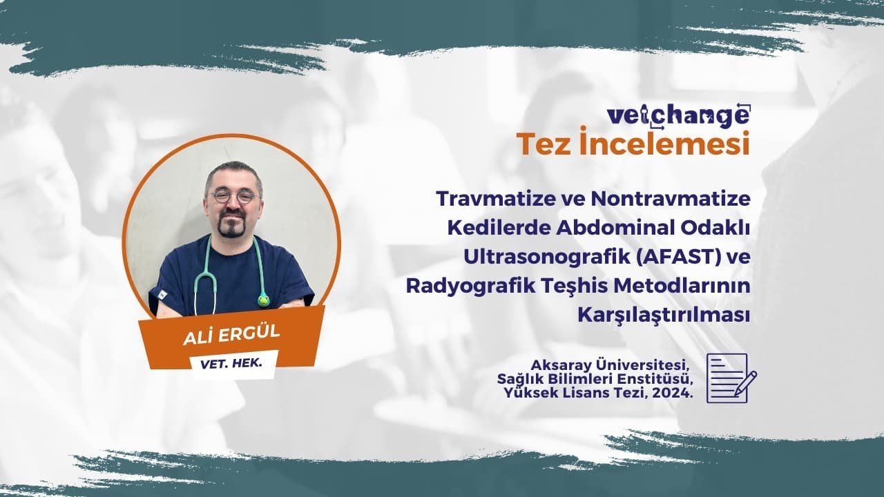 Vetchange Tez İncelemesi | Vet. Hek. Ali Ergül #veterinerhekim #vetchange #veterinarymedicine